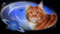 Catplanet