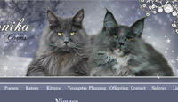Coconika Maine coons