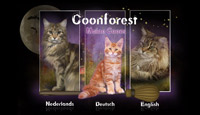 Coonforest Maine Coons