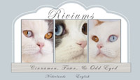 Riviums