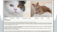 Riviums Britse korthaar katten