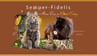Semper Fidelis