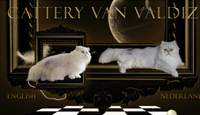 Van Valdiz
