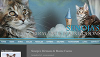 Senoja
