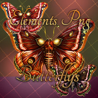 Butterflys png files