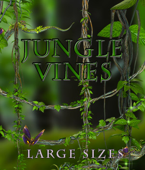 Jungle vines PNG