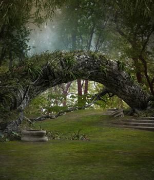 Fantasy Forest backdrops