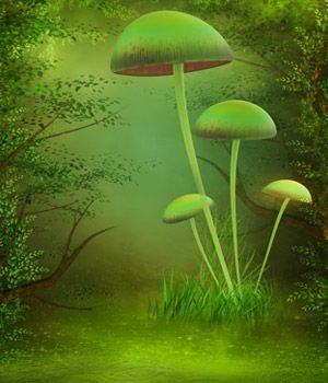 Magic Mushrooms Backgrounds