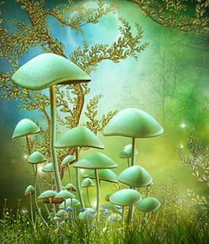 Magic Mushrooms Backgrounds